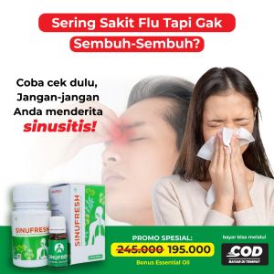 SINUFRESH - OBAT HERBAL ATASI SINUS - BRONKITIS - ASMA DAN GANGGUAN PARU PARU LAINNYA - HERBAL ALAMI
