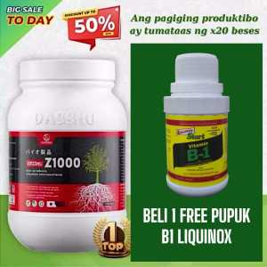 Pupuk Organik Jepang Dasshu Z1000 Beli 1 Gratis Pupuk B1 Liquinox