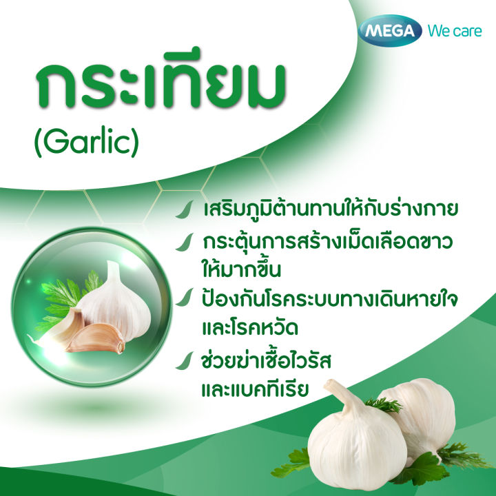 Mega We Care Garlic Oil