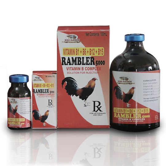 are b12 injections covered by insurance Vitamin B Premix for Poultry Veterinary Medicine Multivitamin Injection for  Pigs China Broiler Premix Price - Vitamin B Premix, Vitamin Premix