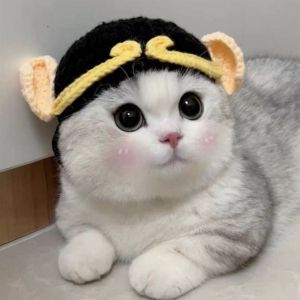 SKONHED Cute Cartoon Crochet Handmade Elastic Cat Hat Pet Cap Frog Hat for Party Photo Props