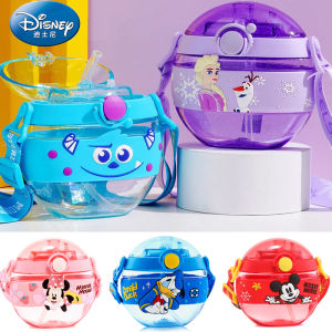 Kids Water Bottle with Straw 15 oz. Frozen Pixar Cars and Dinosaur