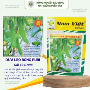 Hạt Giống F1 Dưa Leo Bóng Rubi Nam Việt – Bóng Xanh Rộ Trái Trái Dài 18–20cm – Gói 10g