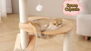 Cat Tree 5 Tier Floor to Ceiling Cats Tower with Scratching Posts Wood Cat House Selected Wood and Sisal