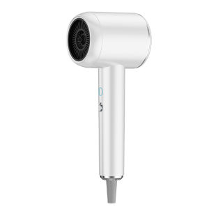 Ionic Hair Dryer 2000W High Speed Fast Drying Strong Wind Low Noise Negative Ionic Blow Dryer