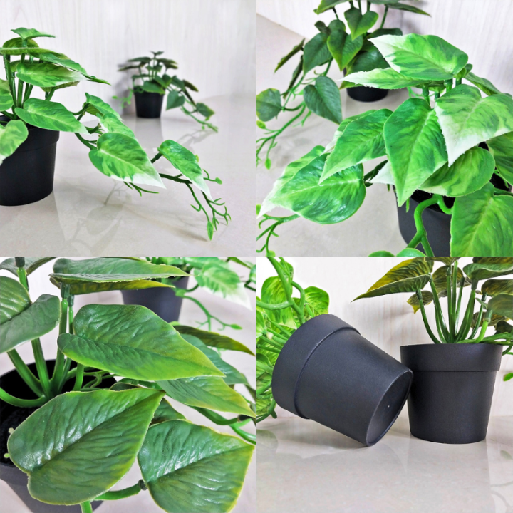 Tanaman%20Hias%20Daun%20Plastik%20Artificial%20Sepaket%20Pot%20Bunga%20Rambat%20Julur%20Dekorasi%20Hiasan%20Ruangan%20PBP115%20-%20Image%208