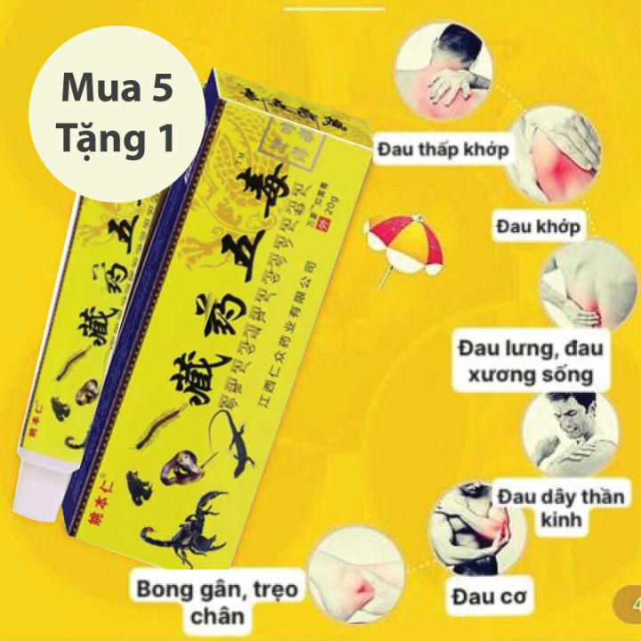 Combo 5 Tuýp Kem xoa bóp xương khớp 5 nọc (Tặng thêm 1 tuýp) - Chuyên ...