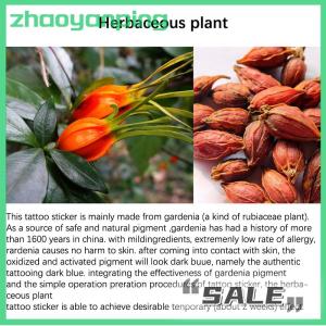 zhaoyanping Herbal Tattoo Stickers Spider Web Temporary Tattoos Lasting Punk Cobweb Tattoo Cheap Goods Festival Art Man Tattoo Sticker