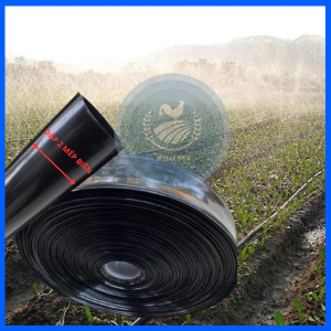 [LẤY NHIỀU GIẢM GIÁ THÊM] 100M Dây tưới phun mưa PHÚ MỸ Phi 27-34-42mm - Ống tưới phun mưa loại 0 lỗ - 3 lỗ- 5 lỗ chéo