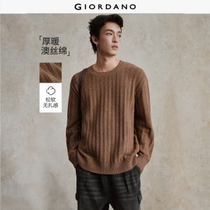 Giordano Men Textured knit crewneck sweater Free Shipping 18055707