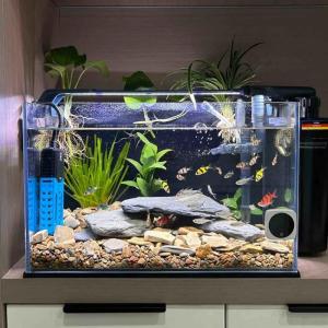 Fish Tank Heater 50W Large Power and Safe Heating Solution Precise Control for Consistent Warmth in Cold Season