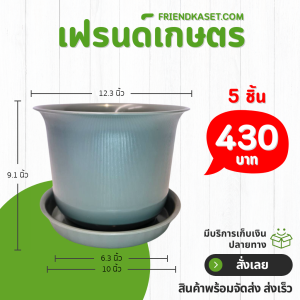 กระถาง กระถางต้นไม้ มินิมอล ถ้วยจีน+จาน ขนาด 12 นิ้ว สีเทา 5 ใบ ชิ้น อัน