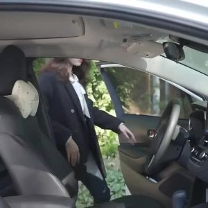 Floweroma Home/Car diffuser aroma wood Essential Oil diffusing wood Fragrance wood