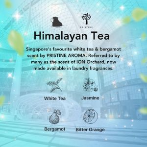 Kapsa 10-in-1 Laundry Pods Sample Pack Bundle (5Pcs) – Himalayan Tea | Lush Freesia | Santal Noir