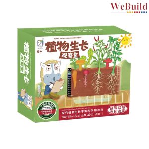 Plant Growth Observation Box 植物生长根系种植观察盒 儿童科学实验手工玩具种子包 Benih WeBuild