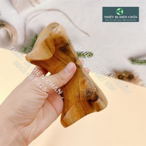 Ếch Gỗ  Huyệt Cẩu Diện Chẩn - Thiết Bị Diện Chẩn