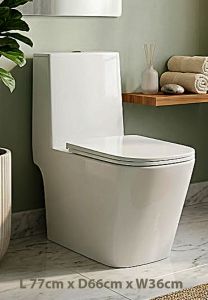 White ceramic toilet with closed lid modern design soft closing seat and cover. Dimensions L77cm x D66cm x W36cm.