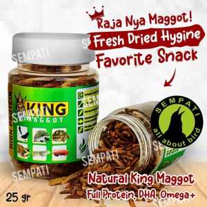 SEMPATI Superworm Super Worm Botol Toples Ulat Jerman Kering Pakan Fooding Burung Murai Kacer Cendet Makanan Cemilan Snack Hewan Sugar Glider Hamster Landak Mini Iguana Gecko Kura-Kura Reptil Ikan Arwana