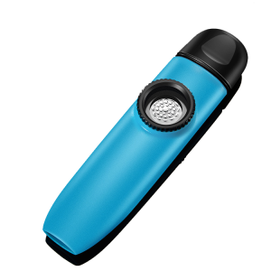 เครื่องดนตรีคาซูดี ความสุข ผ่านการท่องเที่ยว แฟชั่นเครื่องดนตรีคาซู