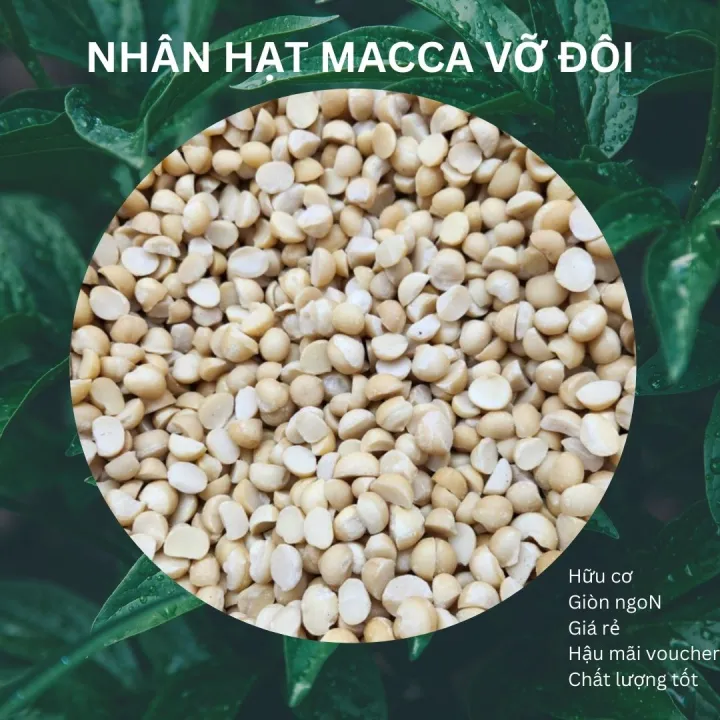 500g nhân macca sấy chín tách vỏ giòn ngon