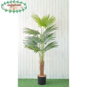 Pohon Artificial Tanaman Hias Palem Sadeng T160 Latex Pot Dasar Hitam Dekorasi Sudut Ruang Kantor Aesthetic