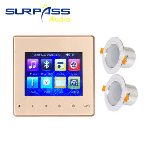 Mini Bluetooth Touch Key 2 Channels Wall Amplifier Support RS485 Fm Radio Home Audio Background Music System Stereo Ceiling Speaker for Residential