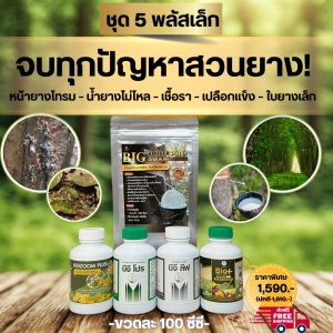 ชุด 5 พลัสเล็ก Big Rubber Plus ช่วยดูแลสวนยางครบวงจร แก้ปัญหาหน้ายางโทรม ยางไม่ไหล ใบเล็ก โตช้า พร้อม Big Zoom Plus+ BG Pro BG Leaf Big Amino ราคา 1590 บาท ส่งฟรี