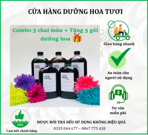Nước nhuộm hoa tươi đổi màu Color Sodium nhập khẩu Israel thuốc nhuộm hoa cắt cành lên màu nhanh Combo 5 chai