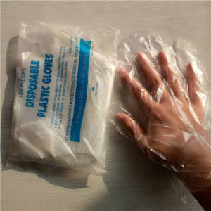 100Pcs/Pack High Quality Disposable Plastic Gloves Restaurant BBQ Eco-friendly Fruit Vegetable Glove