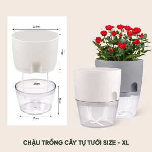Chậu trồng cây tự tưới thông minh MONROVIA size Lớn cho hoa cây cảnh bonsai để bàn ban công Tiêu Chuẩn Châu Âu