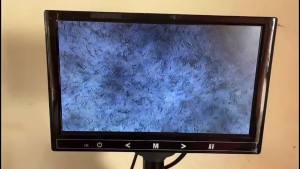 4-15 days Boar Semen Extender Powder 50g Long term extender pig semen for artificial insemination Spain imported dilution powder pig semen preservative