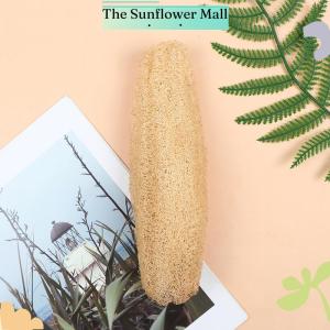 Sunflower 1Pc Natural Loofah Luffa Kitchen Cleaning Brush Pot Bowl Sponge Scrubber 20-25cm