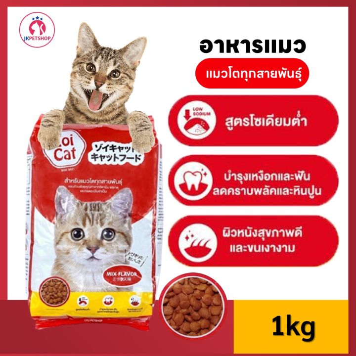 ป้ายยา! 4 อาหารแมว Zoi Cat (ซอยแคท) เพื่อสุขภาพดี ที่ทาสแมวต้องมีติดบ้าน