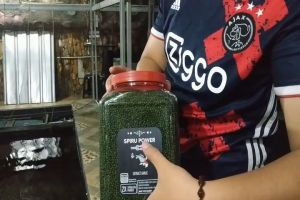 Makanan Koi Pelet Pakan Ikan Koi Spiru Power 16 kg Ekstra Bubuk Spirulina Bawang Putih IKANESIA