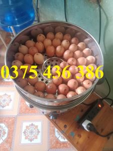Nồi hấp trứng bánh bao hải sản bánh flan rau củ chạy điện 3 xửng hấp 47cm
