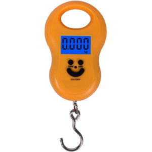 50kg Digital Scale Portable Electronic Mini Scales Hook Handheld LCD Luggage Scale Fishing Weights Pocket Scale Portable Digital Scale