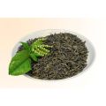 Cây hoa sói ướp trà thơm lừng, cây thuoc dược liệu, cây cảnh. 