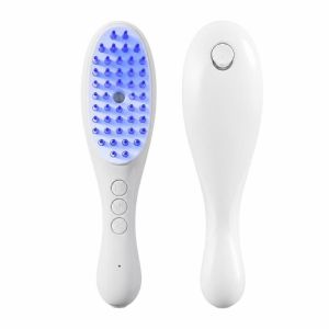 ECOCOKU Red Blue Light Electric Spray Hair Brush Hair Care Multi-Function 2-In-1 Misting Hair Brush Salon Accessories Anti-Frizz Scalp Massage Comb Household