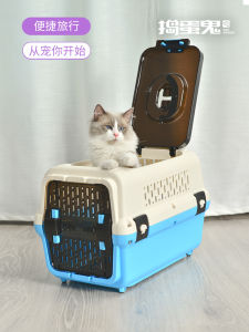 Daodangui Air Box Blue (51x33x34cm)