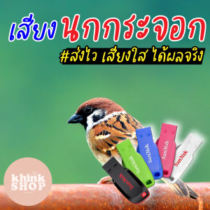 เสียงต่อนกกระจอกบ้าน เมมเสียงต่อนกกระจอกบ้าน แฟลชไดร์ฟเสียงต่อนกกระจอกบ้าน มีเก็บเงินปลายทาง