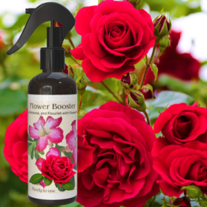 Fertilizer for Flowering Plants 500ml Roses Flower Booster