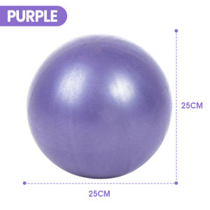 25cm Yoga Pilates Ball Anti-Burst Non-Slip Indoor Fitness Exercise Core Stability Leg Shaping & Postpartum Recovery