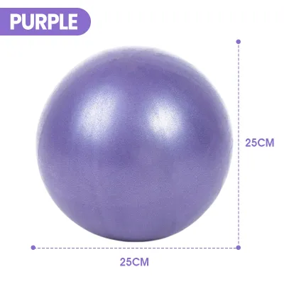25cm Mini Yoga Ball Pilates Fitness Ball Core Training Balance Ball Home Workout