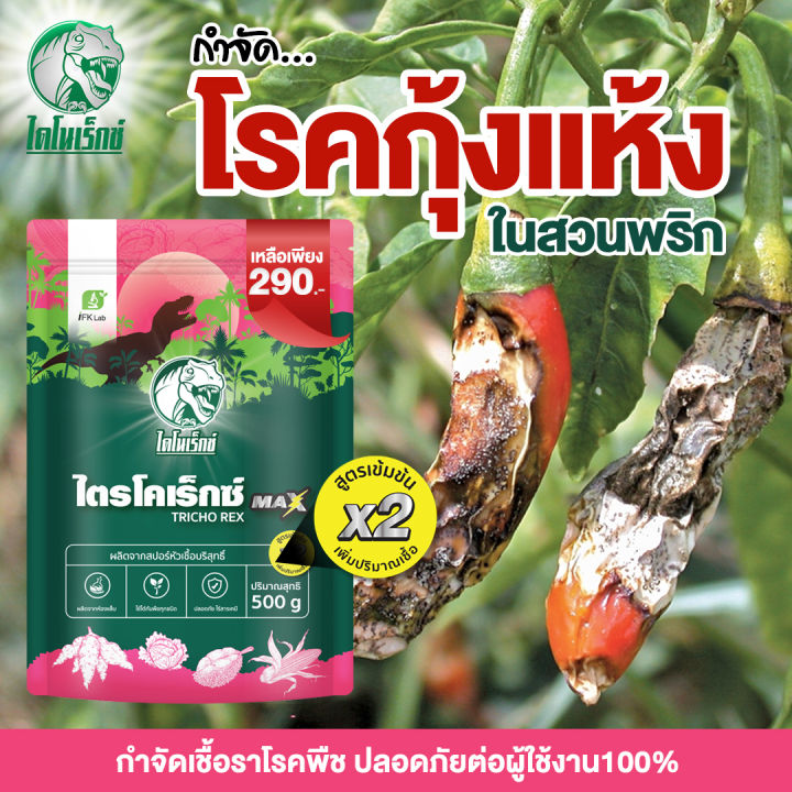 ไตรโคเร็กซ์ แม็กซ์ ตราไดโนเร็กซ์ กำจัดโรคกุ้งแห้งพริก