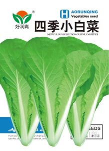 Small-packaged vegetable seeds for e-commerceoriginal colorful packaging easy-to-grow seeds for four-season potted plants