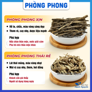 Phòng phong khô nguyên chất 500g - Thảo Dược Hạnh Nguyên
