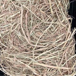 ฟางข้าว ลดเลือนดิน คลุมเต้าที่ช่วยให้ดินไม่แห้ง รถฟื้นฟูกับธาตุอาหาร