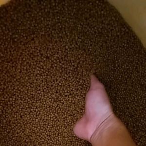 THỨC ĂN CÁ KOI CÁ 3 ĐUÔI CÁ CẢNH CÁC LOẠI (3ly 30% đạm) 500gam/ bịt