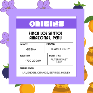 Peru Black Honey Geisha Filter-Roasted Arabica Coffee (Whole Beans) - Origins MNL
