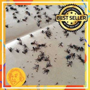 (ISI 10Lembar) Pagoda Lem Lalat Kertas / Lem Kertas Lalat / Lem Serangga by Einstein-Store